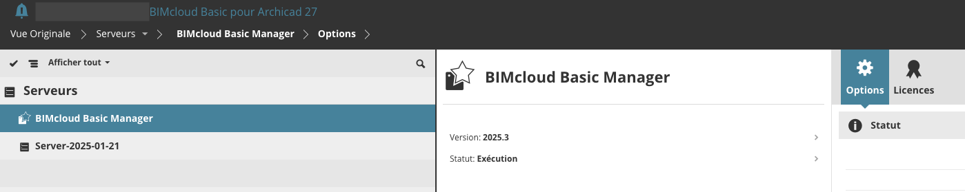 Interface Web BIMcloud Basic pour Archicad 27 montrant la section « Serveurs » avec « BIMcloud Basic Manager » sélectionné, l’onglet « Options » actif, et le panneau de droite affichant Version 2025.3 et Statut : Exécution.