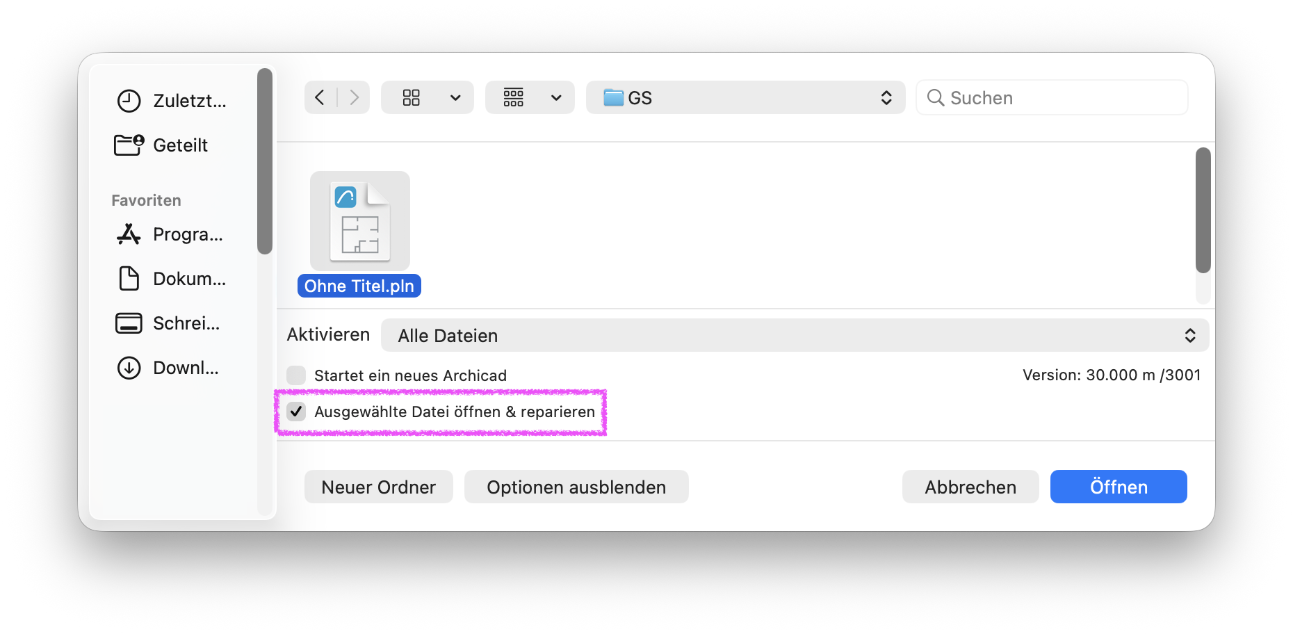 Datei öffnen und reparieren während das Projekt geöffnet wird.